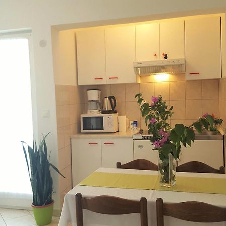 טרוגיר Apartments Vojin מראה חיצוני תמונה