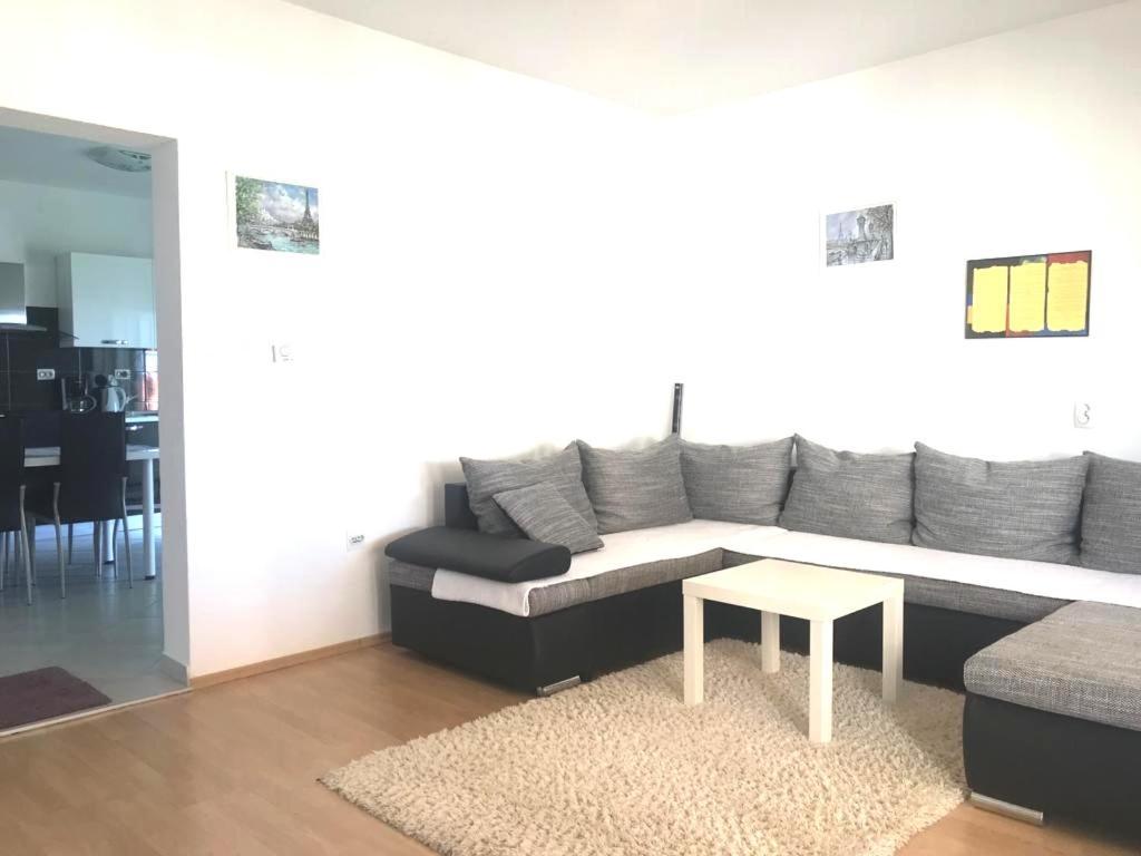 טרוגיר Apartments Vojin חדר תמונה
