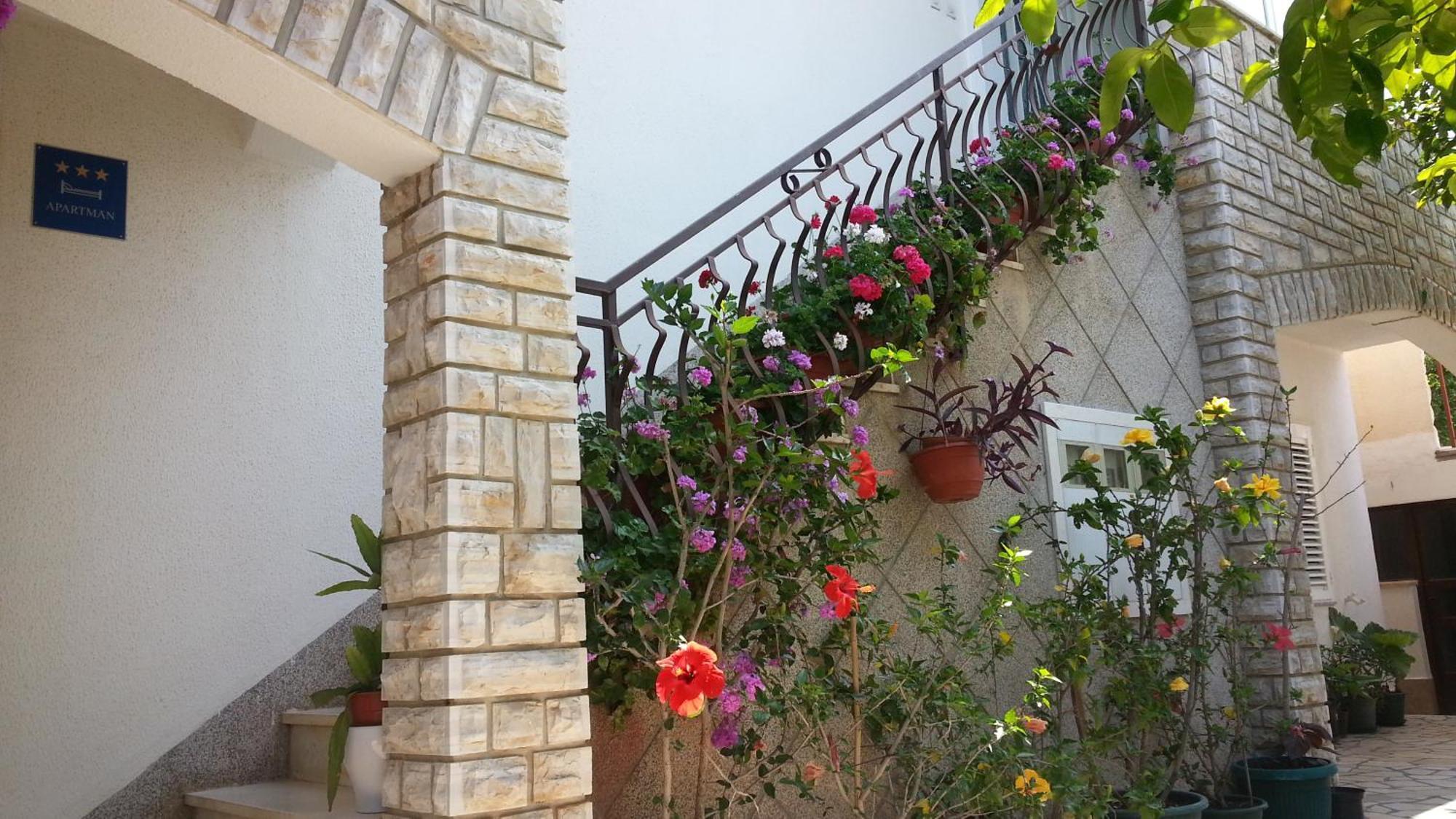 טרוגיר Apartments Vojin חדר תמונה